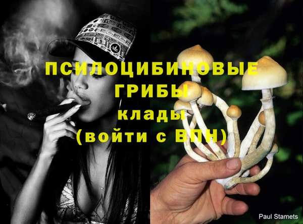 альфа пвп Армянск
