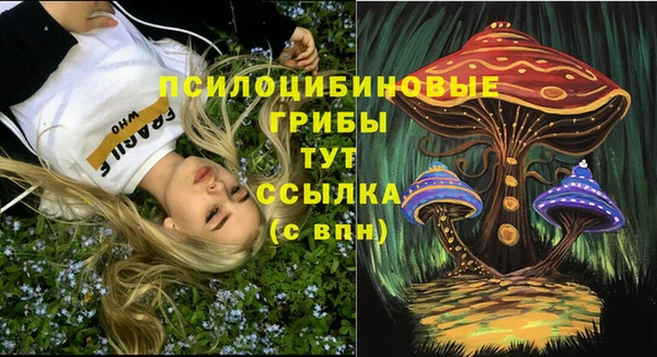 мет Аркадак