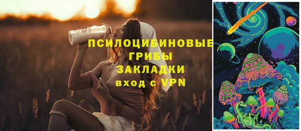 альфа пвп Армянск