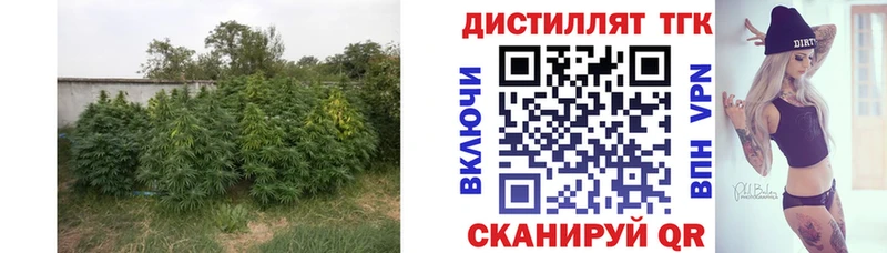 ТГК гашишное масло  Купить  Нефтегорск 