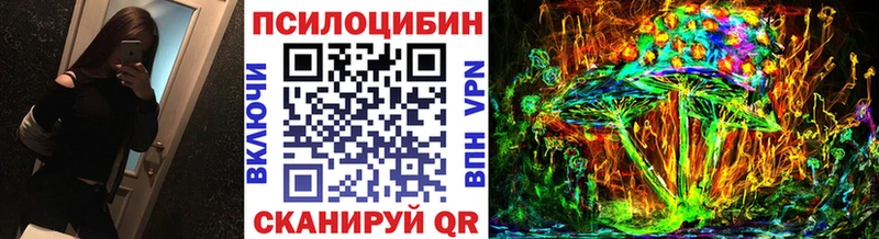 Купить закладки  Нефтегорск  Галлюциногенные грибы Cubensis 
